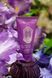 Крем для рук La Sultane de Saba Udaipur Moisturizing Hand Cream Musk Incense Vanilla 50 мл