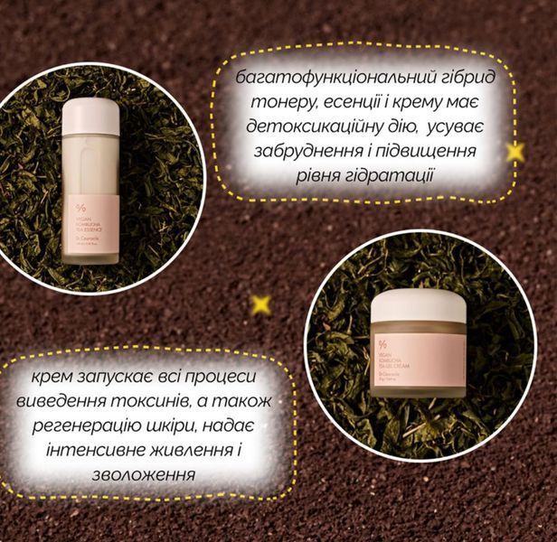 Веганский набор для ухода за кожей с комбучей Dr.Ceuracle Vegan Kombucha Beginning Set, 2 в 1 2297183275 фото