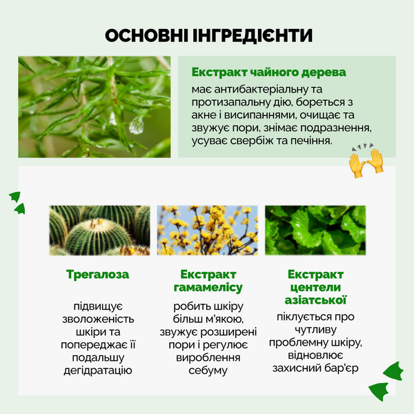 Успокаивающая маска с экстрактом чайного дерева Dr.Ceuracle Tea Tree Purifine Soothing Mask 001040 фото