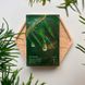 Успокаивающая маска с экстрактом чайного дерева Dr.Ceuracle Tea Tree Purifine Soothing Mask 001040 фото 6