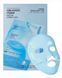 Увлажняющая гидрогелевая маска для лица VT Cosmetics Hydrop Reedle Shot 100hL 2-Step Hydrogel Mask 38 g