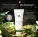 Набір засобів з чайним деревом (тонер + пінка для вмивання) Dr.Ceuracle Tea Tree Purifine Duo Set, 2 в 1