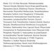 Коригуючий сонцезахисний крем Derma Factory Daily Tone Correcting Sun Cream SPF50+ PA++++ 50 г