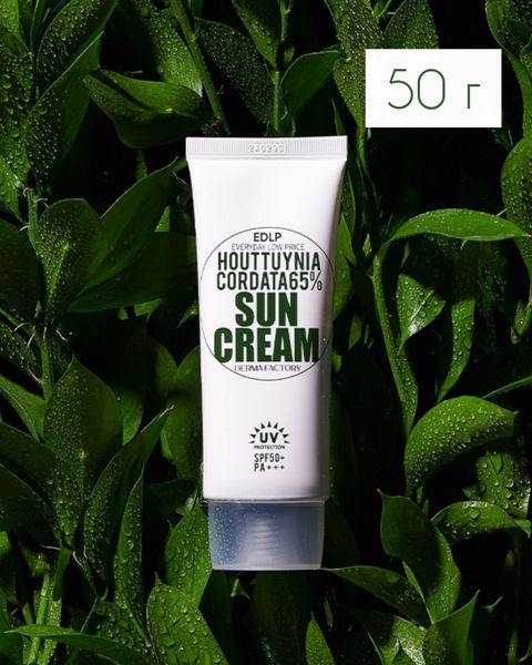 Derma Factory Houttuynia Cordata 65% Sun Cream SPF50+ PA+++ – Солнцезащитный увлажняющий крем, 50 мл 000063 фото