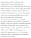 Крем від пігментації Braderm Tramexal Cream 30 мл