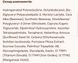 Блеск для губ Роза LIPSS Lipper Rose Lip Gloss 8 мл