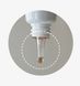 Сироватка з бакучіолом Derma Factory Bakuchiol 5% Ampoule, 20 ml