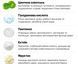 Набор солнцезащитных крем-сывороток Benton CICA SPF50+ PA++++