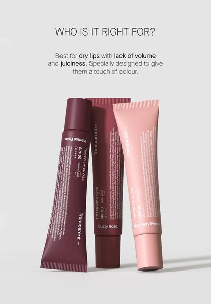 Бальзам для губ пилкова троянда Transparent Lab Tinted Gloss Dusty Rose SPF50 2686769661 фото