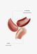 Бальзам для губ блискучий персик Transparent Lab Tinted Gloss Shimmery Peach SPF50