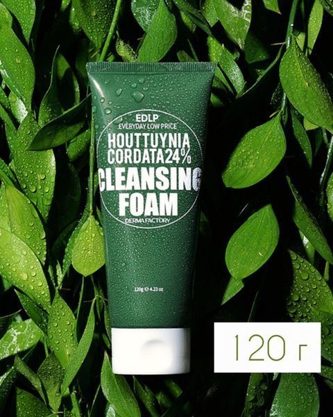 Derma Factory Houttuynia Cordata Cleansing Foam - Мягкая очищающая пенка для умывания 1886382171 фото