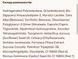 Блиск для губ Вишневий круасан LIPSSxCHER`17 Pinky love 8 мл