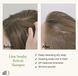 ANILLO Освіжаючий шампунь для волосся Lime Sunday Refresh Shampoo 450 мл