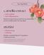 Антиоксидантная крем-маска Sandawha Camellia Flower Antioxidant Cream Mask 65 г с экстрактом камелии