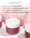 Антиоксидантная крем-маска Sandawha Camellia Flower Antioxidant Cream Mask 65 г с экстрактом камелии