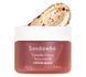 Антиоксидантная крем-маска Sandawha Camellia Flower Antioxidant Cream Mask 65 г с экстрактом камелии