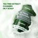 Шампунь балансуючий Kundal Tea Tree & Macadamia Deep Cleansing Shampoo White Musk 500 ml