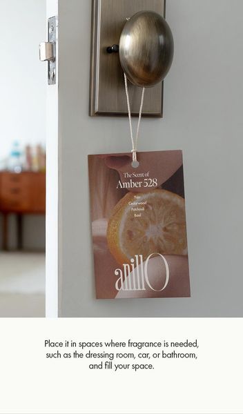 Парфумоване саше ANILLO Amber 528 Perfume Sachet 7 г 2746904032 фото