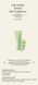 ANILLO Освіжаючий кондиціонер для волосся Lime Sunday Refresh Hair Conditioner 150 мл