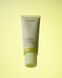 Кислотний скраб-пілінг для шкіри голови WhoCares Pumpkin Protein Scalp Scrub 180 мл