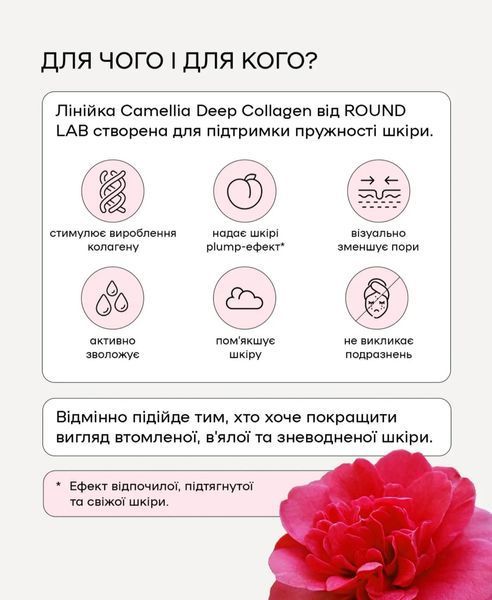 Гелевая маска с коллагеном ROUND LAB Camellia Deep Collagen Firming Gel Mask 34 мл 2559177366 фото