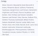 Сироватка для обличчя Hugs Plump it draining serum 30 мл