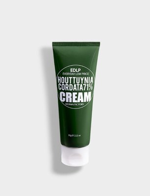 Derma Factory Houttuynia Cordata 71% Cream - Зволожуючий крем для обличчя з екстрактом квітки хауттюйнії, 60 мл 000033 фото