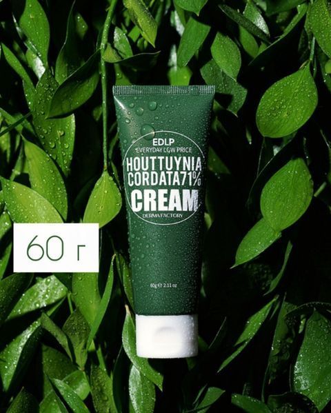 Derma Factory Houttuynia Cordata 71% Cream - Зволожуючий крем для обличчя з екстрактом квітки хауттюйнії 60 мл 1870038054 фото