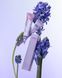 Блиск для губ Лавандовий мед LIPSS Lipper Bye Bye Stress Lip Gloss 8 мл