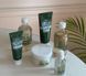 Derma Factory Houttuynia Cordata 71% Cream - Зволожуючий крем для обличчя з екстрактом квітки хауттюйнії 60 мл
