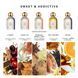 Набор миниатюр парфюма Bibliotheque de Parfum Discovery Set Sweet & Addictive 5x3 мл